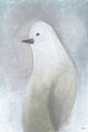 "Snow Bird" Painting Print on Wrapped Canvas, 24"x36"