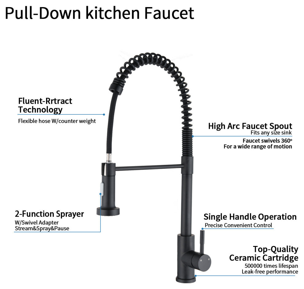 Wellfor Single Handle Kitchen Sink Faucet With Pull Down Sprayer