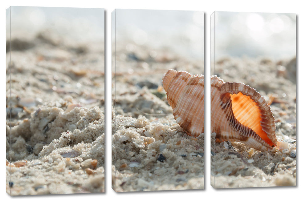 Cockleshell On A Beach Canvas Print, 3 Panel Split, Triptych Wall Art,
