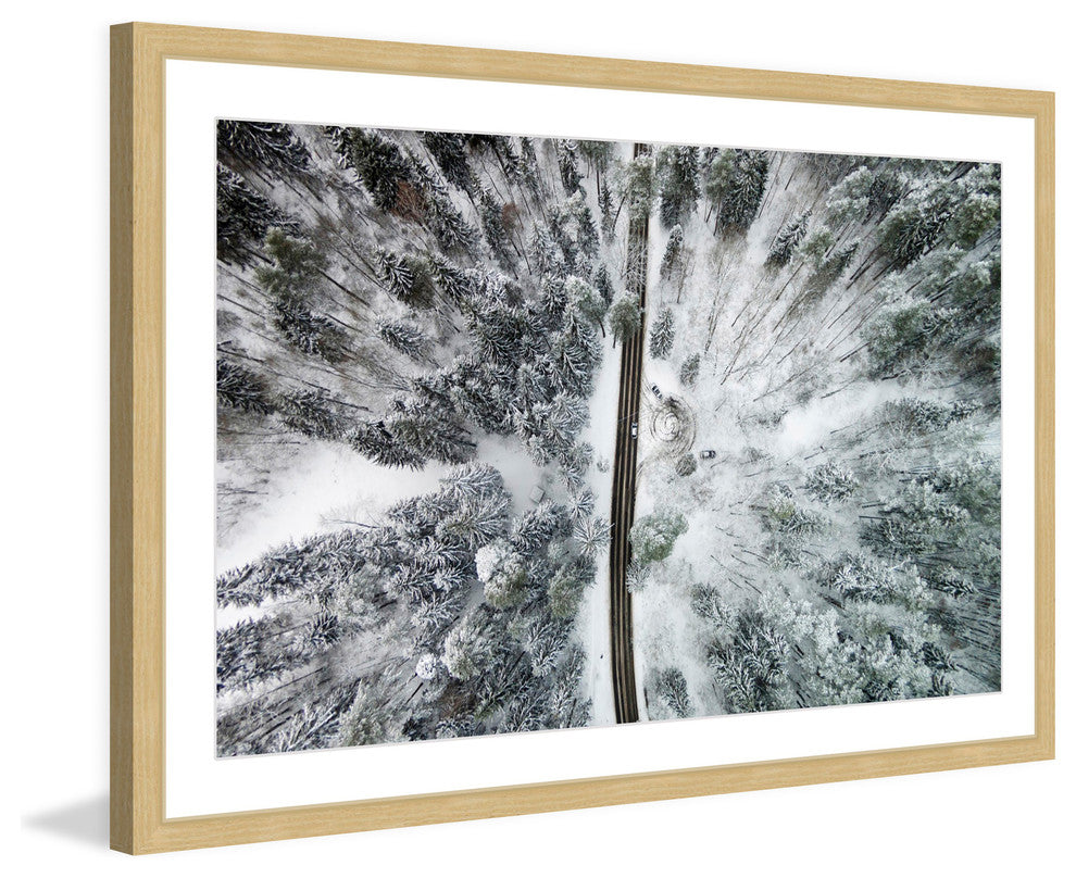 "Amid The Cold" Framed Print by Karolis Janulis