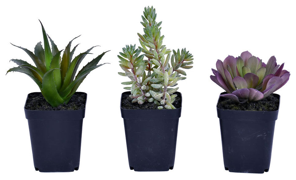 Vickerman FE191203 7" Artificial Succulent,  Black Plastic Planters Pot Set of 3