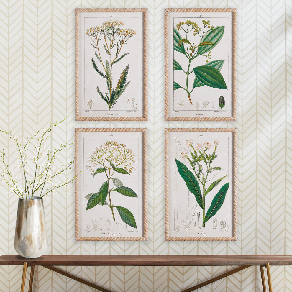 4-Piece Meadow Botanical Study Set