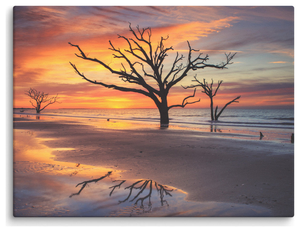 Sunrise & Trees At Edisto Island Coastal Landscape Photo Canvas Wall Art Print, 18" X 24"
