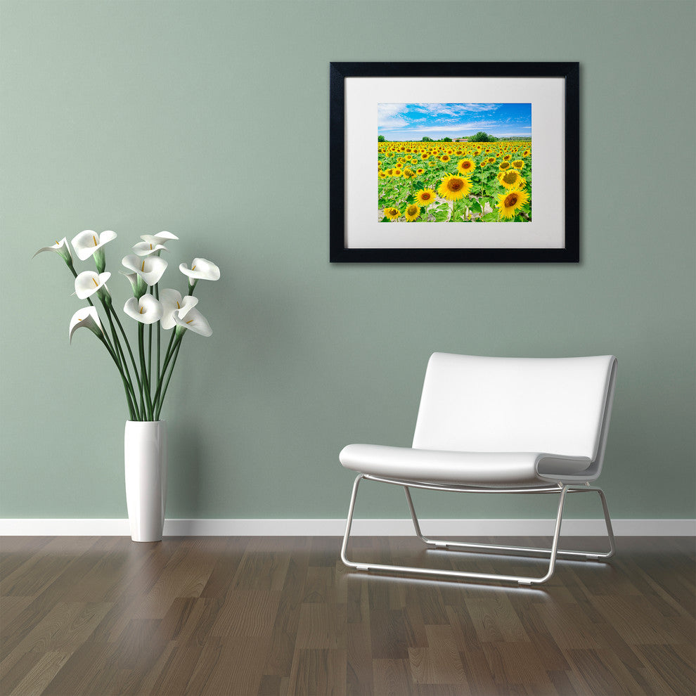 Blanchette Photography 'Field of Yellow', Black Frame, White Matte, 20"x16"