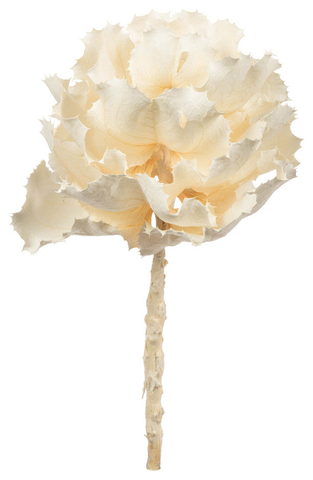 Vickerman 8" Queen Flower Stem, Dried