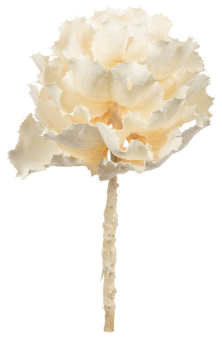 Vickerman 8" Queen Flower Stem, Dried