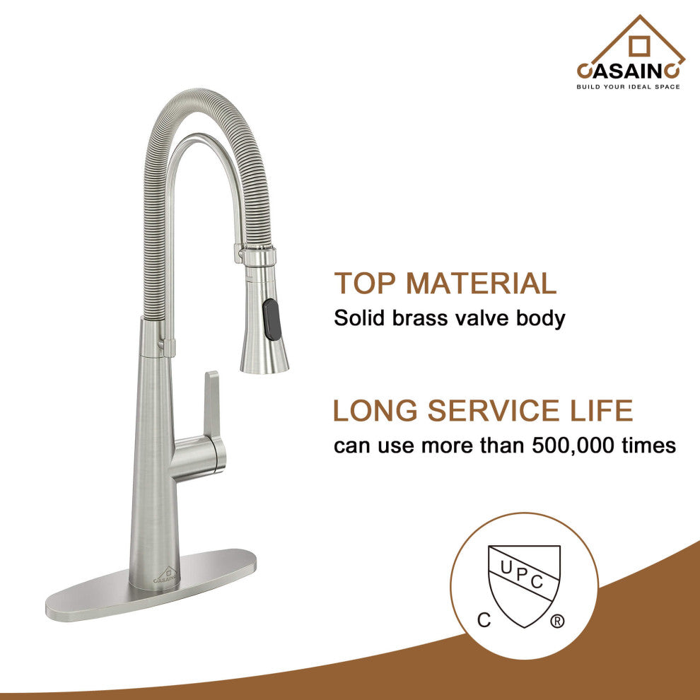 Single-Handle Spring Neck Standard Kitchen Faucet with Dual-Function, Brushed Nickel