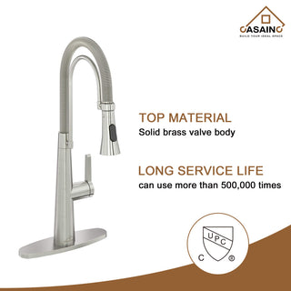 Single-Handle Spring Neck Standard Kitchen Faucet with Dual-Function, Brushed Nickel