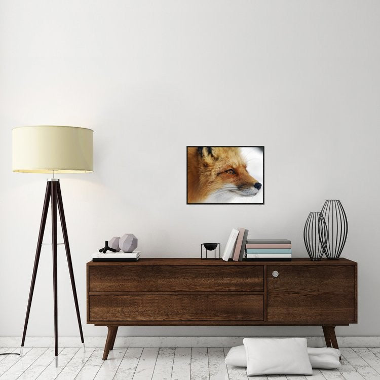 "Red Fox" Framed Canvas Giclee by Alain Turgeon, 25x19"