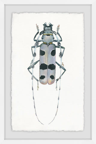 "Spotted Bug" Framed Painting Print, 12"x18"