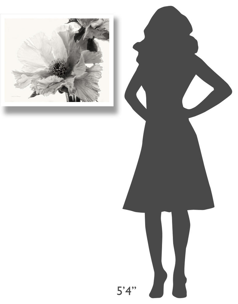 "Translucent Peony V - BW" Digital Paper Print by Debra Van Swearingen, 26"x22"