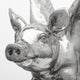 Hogbadi I White Resin Flying Pigs, Set Of 2, Silver