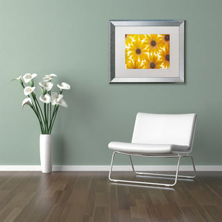 Cora Niele 'Yellow Cape Daisies' Matted Framed Art