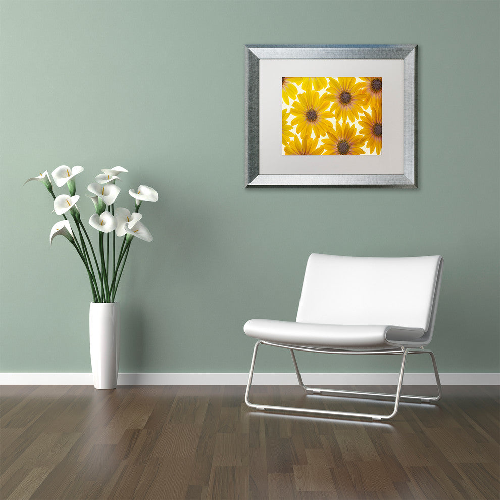 Cora Niele 'Yellow Cape Daisies' Matted Framed Art