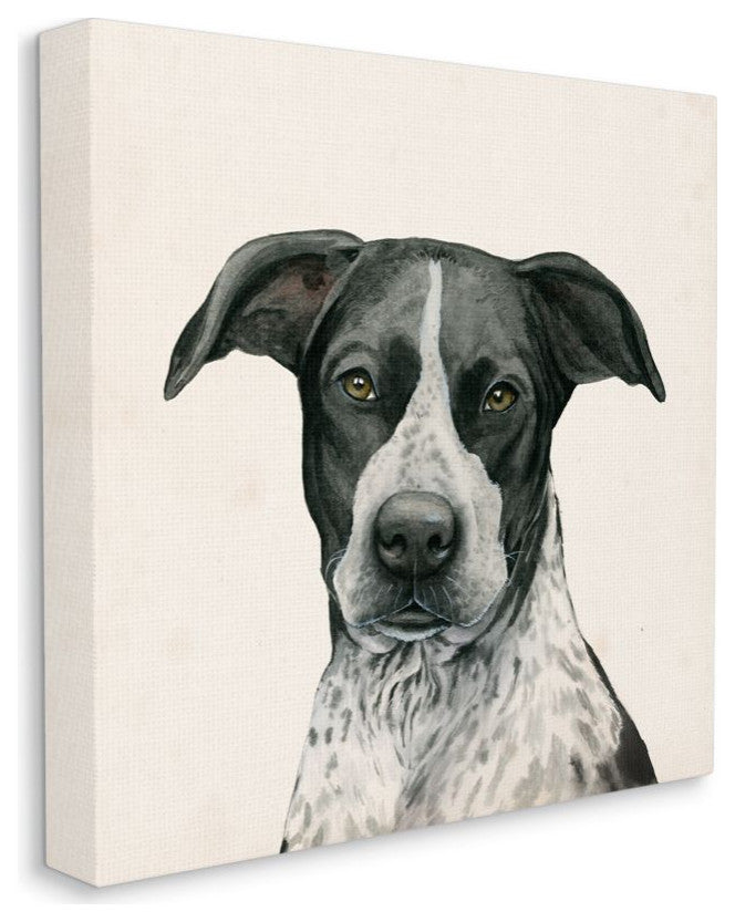 Intriguing Dalmatian Mix Dog Breed Pet Portrait 30x30
