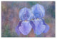 Cora Niele ''Iris Blue Rhythm'' Canvas Art