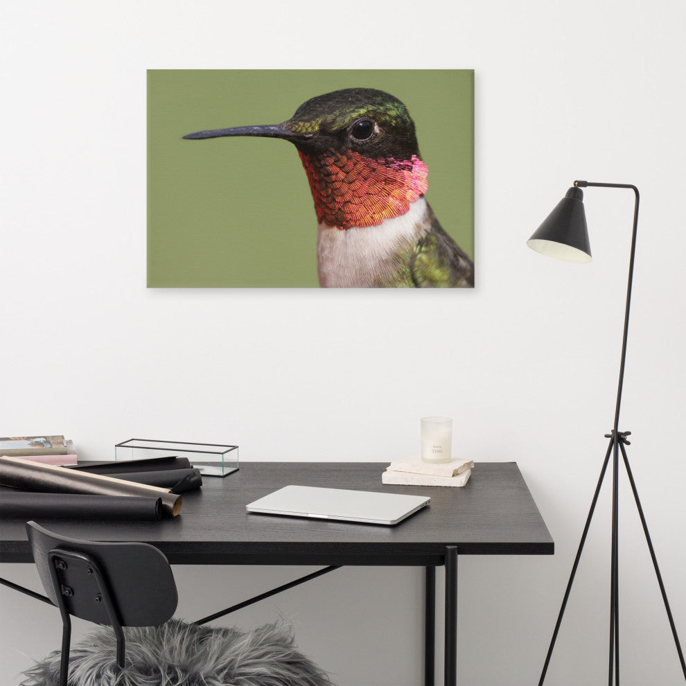 Close-up Ruby-throated Hummingbird Wildlife Photograph Canvas Wall Art Print, 24" X 36"