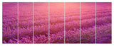 Lavender Field and Ray of Light, Floral Canvas Art Print, 83"x32", 7 Panels