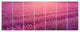 Lavender Field and Ray of Light, Floral Canvas Art Print, 83"x32", 7 Panels