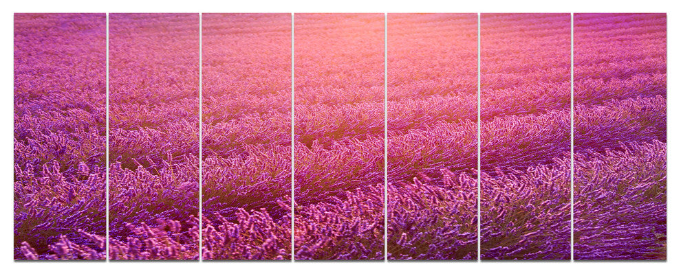 Lavender Field and Ray of Light, Floral Canvas Art Print, 83"x32", 7 Panels