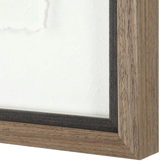 Uttermost The Catch Framed Fish Prints Set of 2