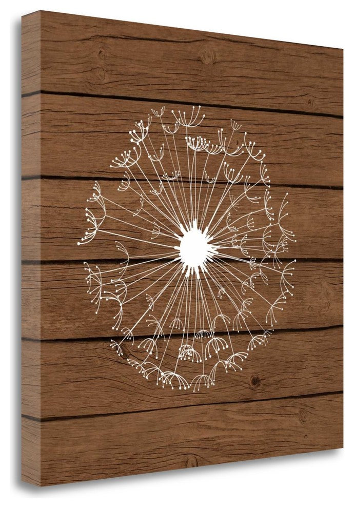 "Brown Dandelion II" By Tamara Robinson, Giclee Print on Gallery Wrap Canvas