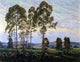 Christian J Walter Summer Evening in Ligonier, 21"x28" Wall Decal