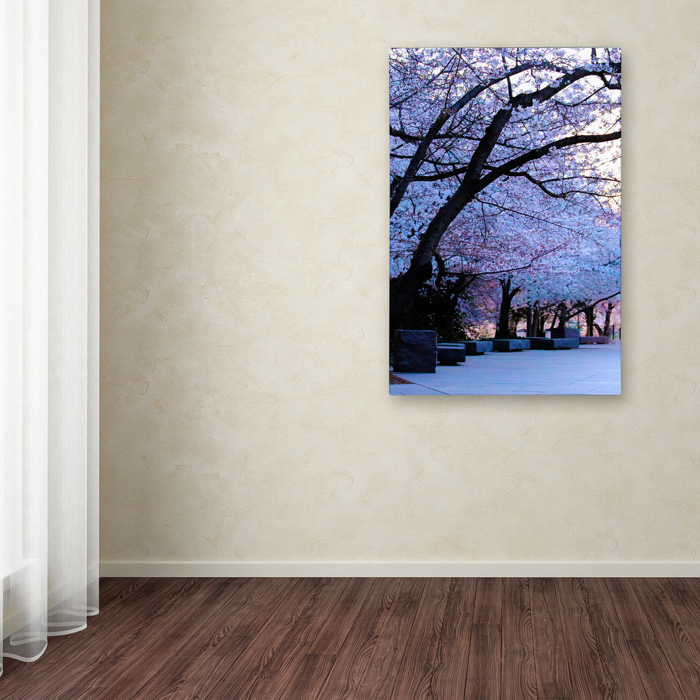 CATeyes 'Cherry Blossom Shade' Canvas Art, 30x47