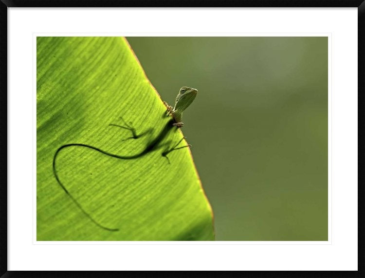 "Hallo" Framed Digital Print by Yoline Santosa, 38"x29"
