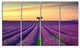 "Lavender Flower Rows in Provence" Landscape Wall Art Print, 4 Panels, 48"x28"