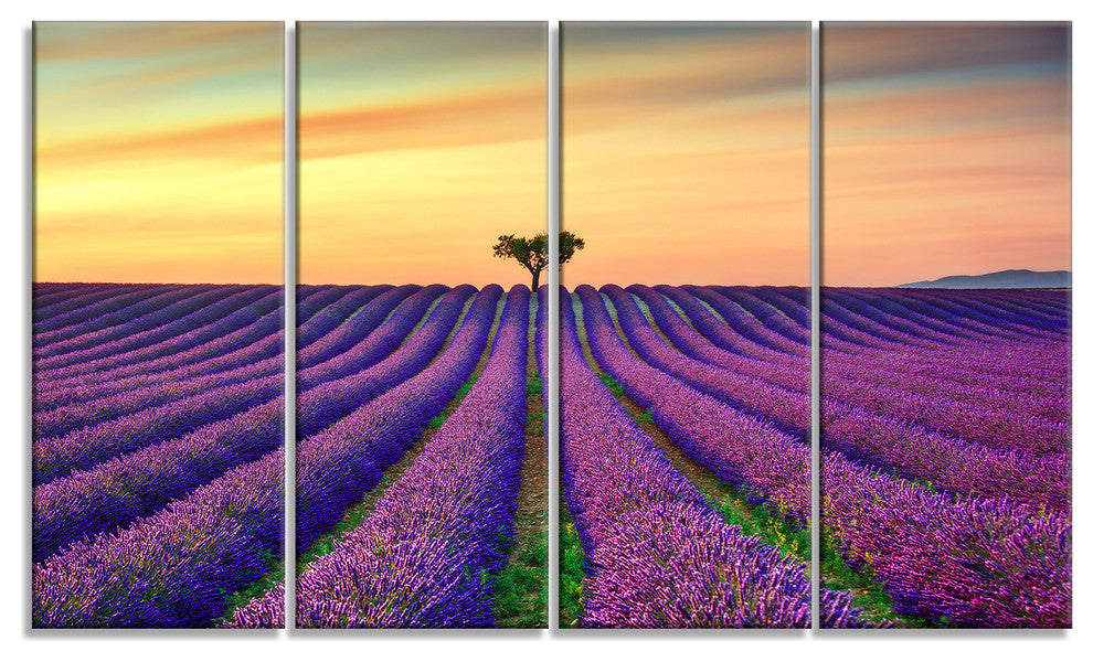 "Lavender Flower Rows in Provence" Landscape Wall Art Print, 4 Panels, 48"x28"