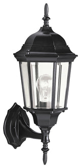 Outdoor Wall 1-Light, Black