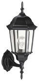 Outdoor Wall 1-Light, Black