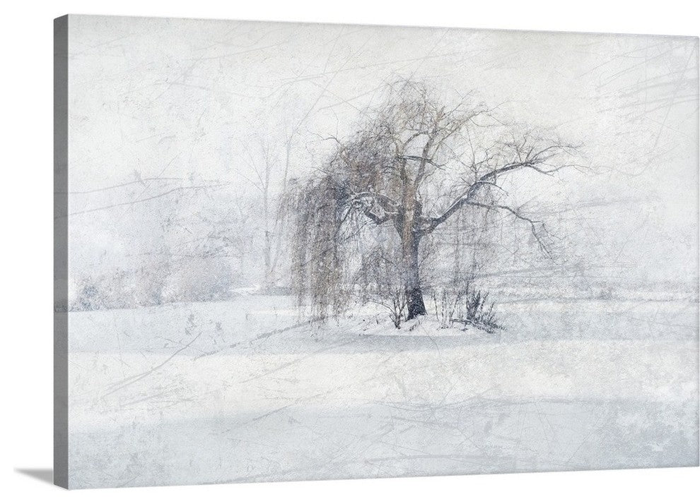 "Whispering Silence" Wrapped Canvas Art Print, 24"x16"x1.5"
