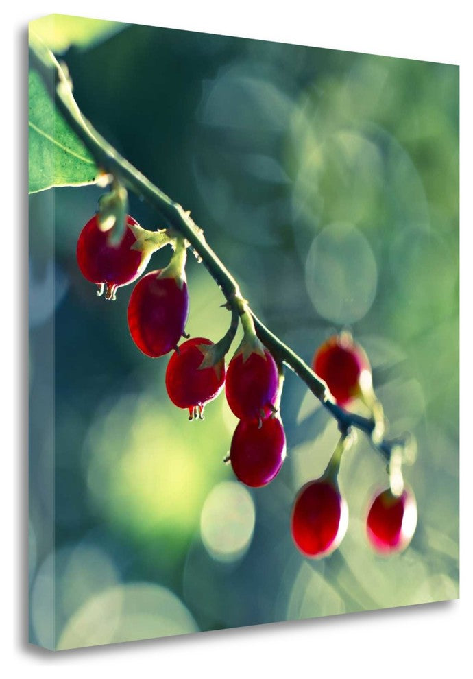 "Luscious" By Melanie Alexandra Price, Giclee Print on Gallery Wrap Canvas