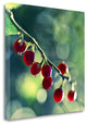 "Luscious" By Melanie Alexandra Price, Giclee Print on Gallery Wrap Canvas