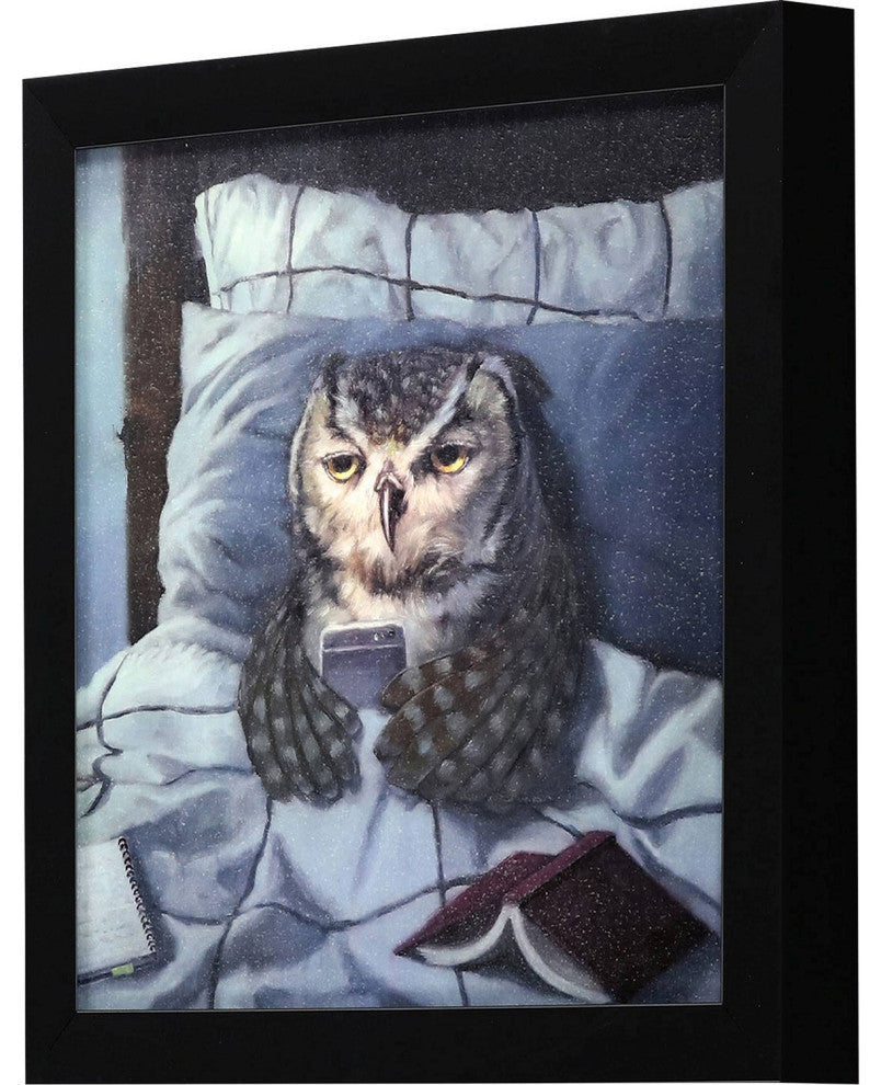 Night Owl Non-Glass Framed Art