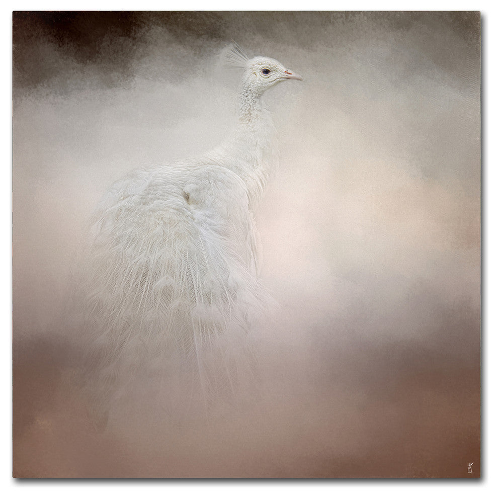 Jai Johnson 'Peacock 6' Canvas Art, 14 x 14