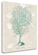 "Gorgonia Granulata" By Wild Apple, Giclee Print on Gallery Wrap Canvas