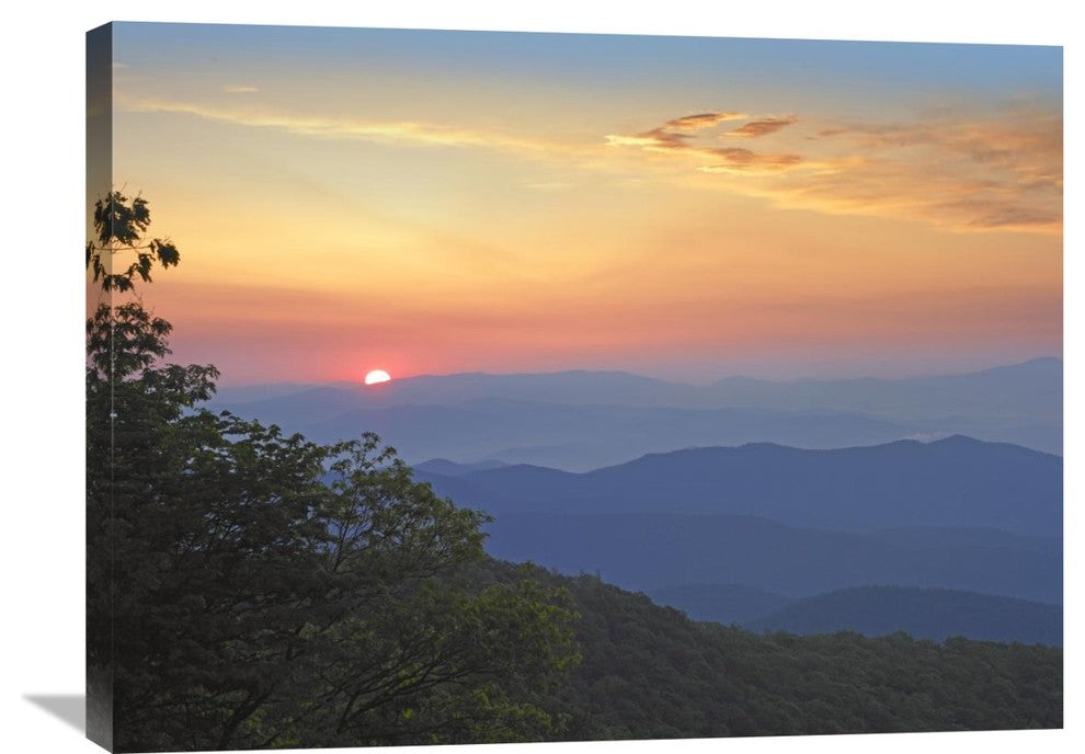 " Pisgah National Forest, Blue Ridge Parkway, North Carolina" Artwork