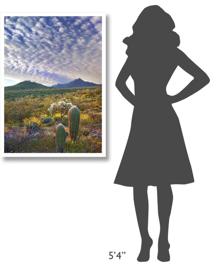 "Saguaro/Teddybear Cholla, Lupine/California Brittlebush" Paper Art, 27.56"x38"