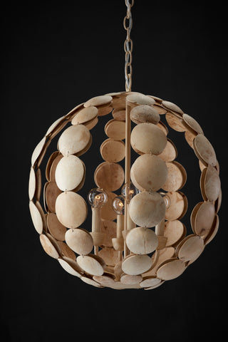 Tartufo Coco Shell Chandelier