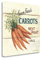 "Farm Fresh Carrots" By David Carter Brown, Giclee Print on Gallery Wrap Canvas