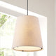 Arden 1-Light Farmhouse Bohemian Iron LED Pendant