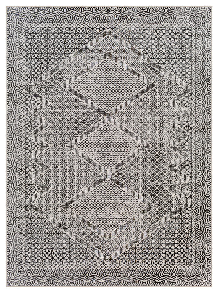 Surya Lavadora LVR-2342 Washable Area Rug