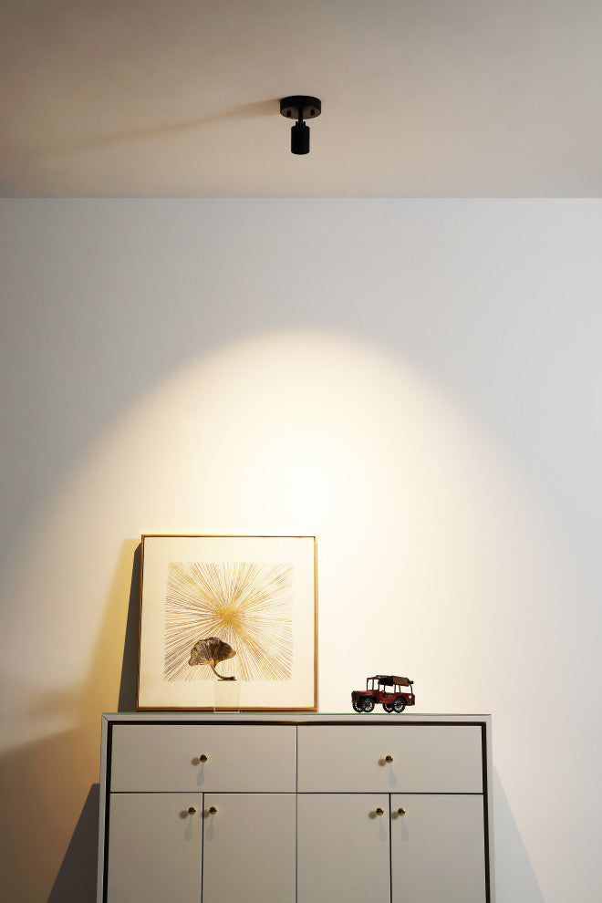 Vidalite Shura LED Spotlight, Black
