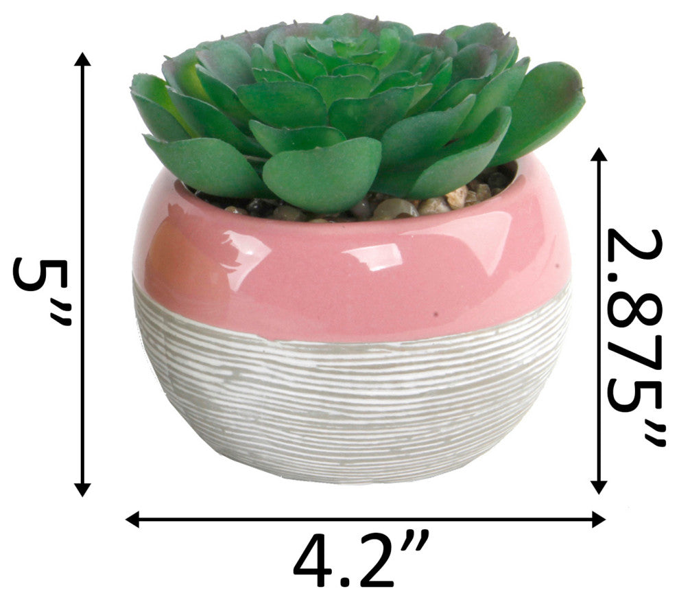 Succulent In Two Tone Lines Pattern Ceramic Pot ,Pink