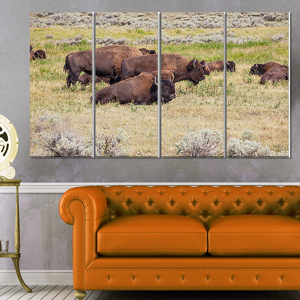 Grazing Gang of Buffalos, Animal Canvas Art Print, 48"x28", 4 Panels