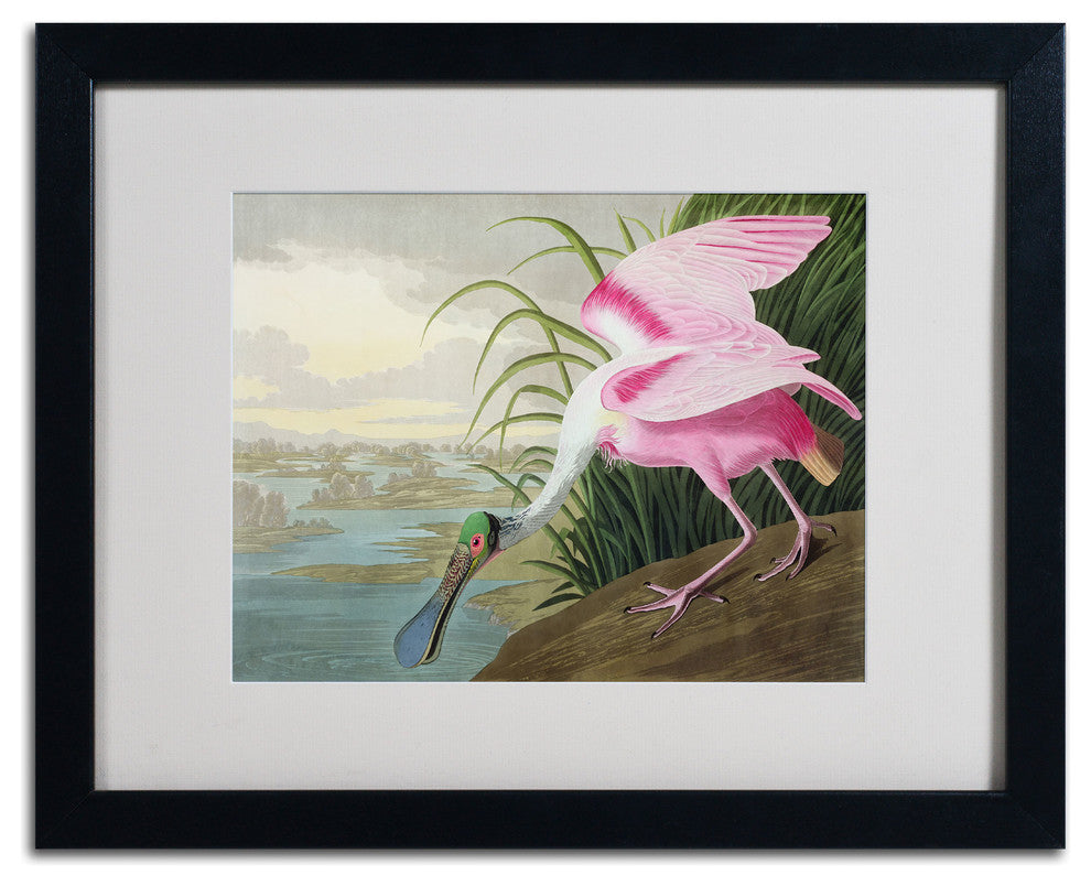 'Roseate Spoonbill' Matted Framed Canvas Art by John James Audubon