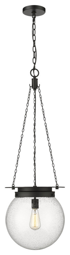 Z-LITE 1-Light Pendant, Matte black